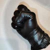 FistPro